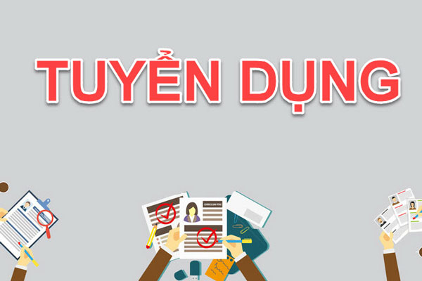 Sơn Alex tuyển dụng kế toán bán hàng